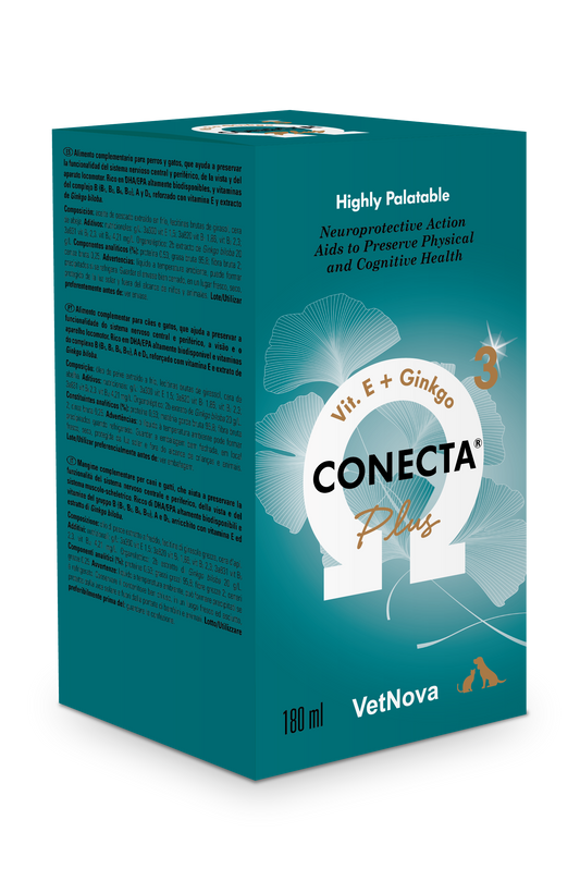Solución vitaminas del complejo B funcionalidad  sistema nervioso  perros y gatos de edad avanzada