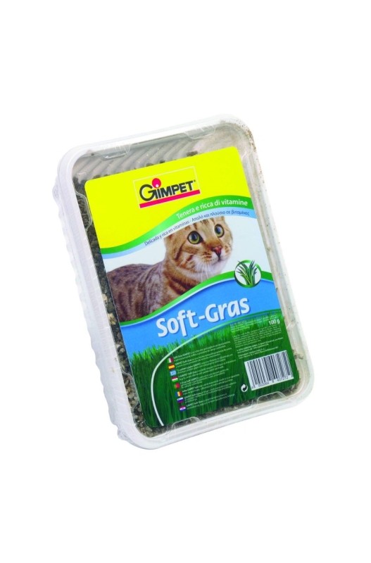 Hierba para gatos | Ayuda contra las bolas de pelos - Consíguela en bolypets.comcontroladas.