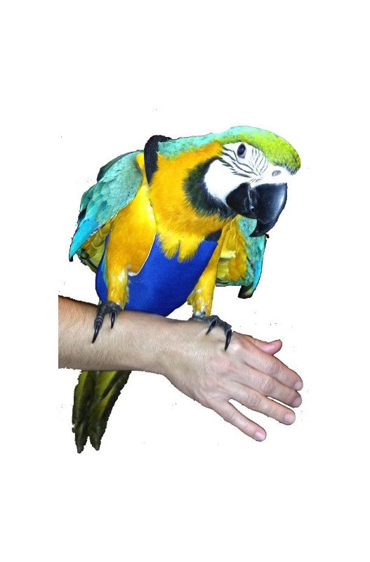 PAÑAL PARA GUACAMAYO