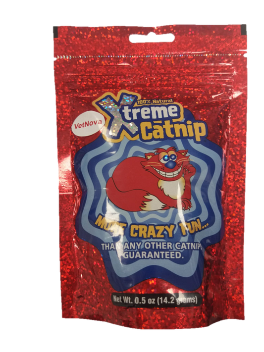 X-TREME Catnip Nepeta cataria para gatos