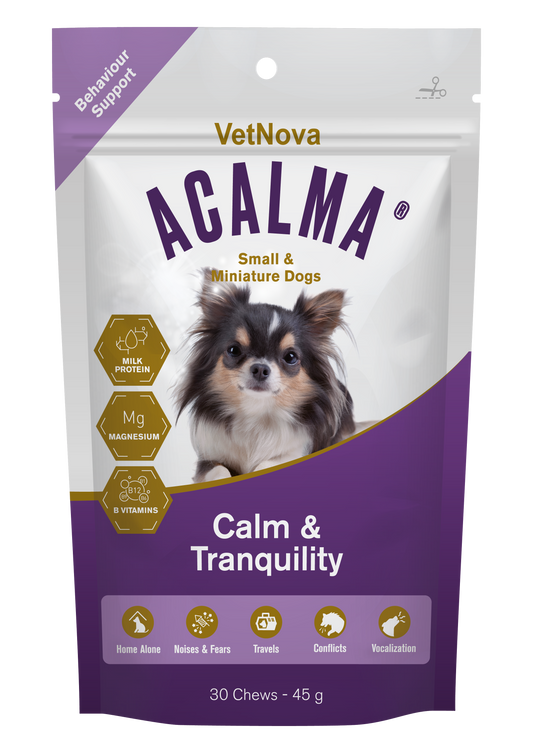 alimento relajante perros situaciones estrés -bolypets
