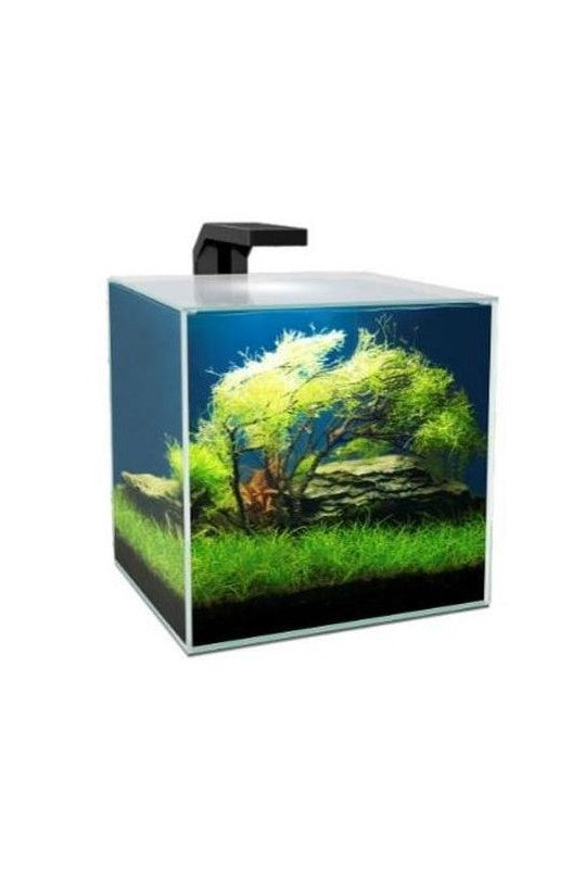 Acuario Ciano CUBE 10 Led con Tapadera + Filtro Ciano CF20 El CUBE 10 es un pequeño acuario de cristal de 9,5 litros de fácil utilización con diseño ultra moderno, tapadera, filtro CF20 y sistema de iluminación Led incluido,