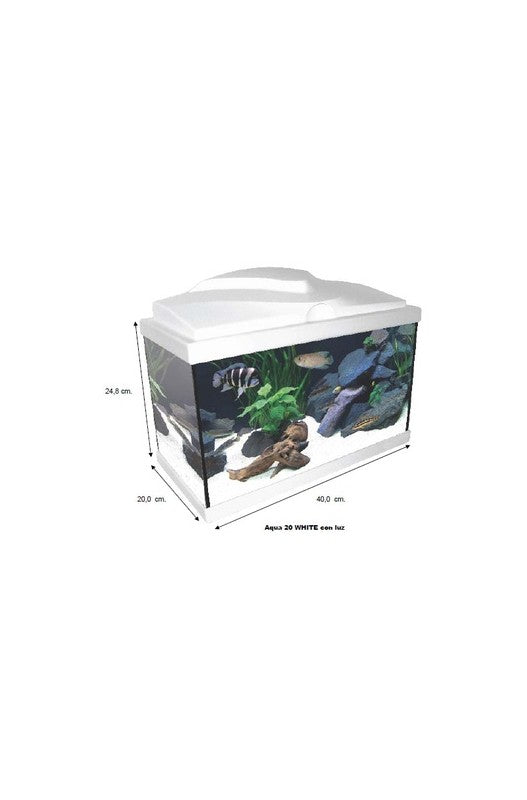 pequeño acuario de cristal , bonito y de fácil mantenimiento. Está equipado con iluminación LED y transformador 12 voltios para máxima seguri dad,