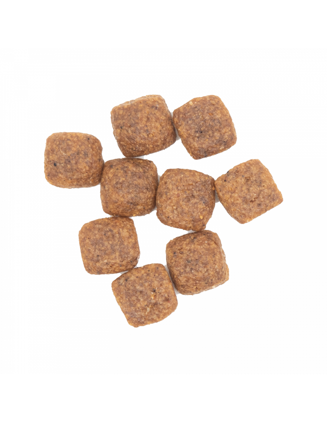 comida perros adulto mini |alimentos naturales para perros -Bolypets
