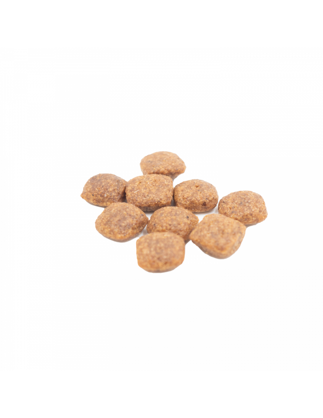 adulto mini |alimentos naturales para perros -Bolypets
