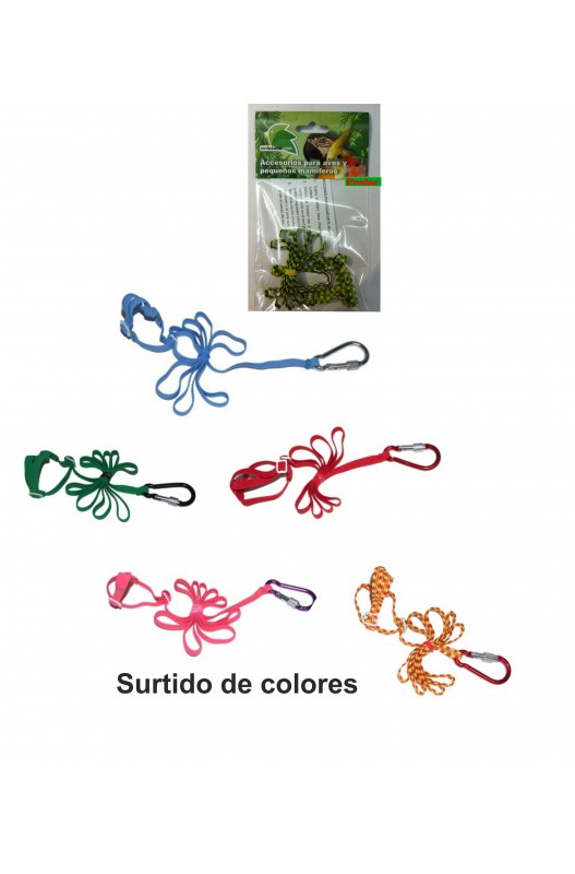 arneses son un imprescindible accesorio para cualquier ave psitácida papillera.