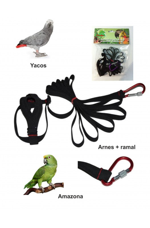 arneses son un imprescindible accesorio para cualquier ave psitácida papillera. Se compone de dos partes, el arnés, que nos servirá para sujetar al animal y una correa terminada en un mosquetón para sacar de paseo con toda seguridad a nuestra mascota.