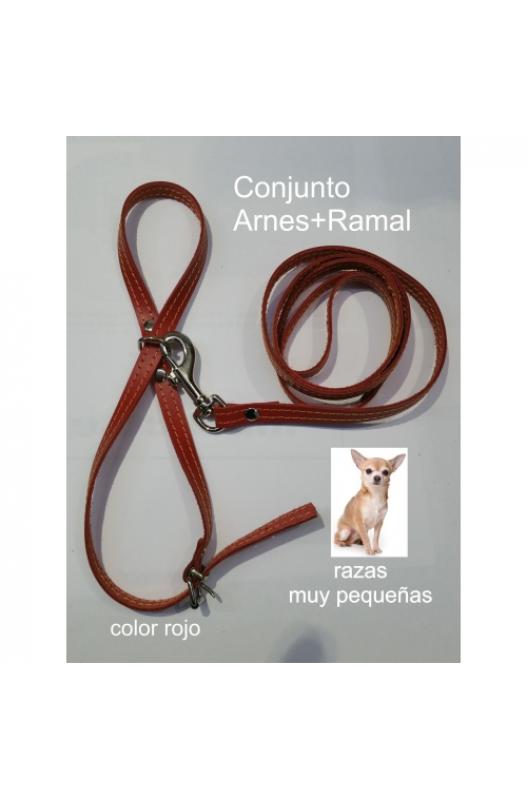 Conjunto de arnés y ramal en cuero vacuno. Medias para perros de razas muy pequeña. Fabricado en España.