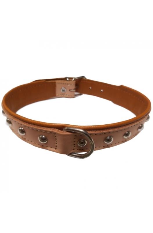collar perros 