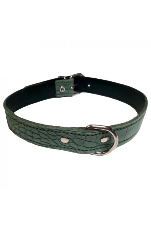 COLLAR para perros PIEL LABRADO 15X350 VERDE