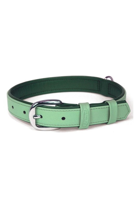 Color Menta: Este collar tiene un tono menta fresco y vibrante, que puede ser ideal para perros que tienen un pelaje de colores neutros o claros, haciendo que resalten. El color menta es perfecto para la temporada de verano, ya que evoca frescura y tranquilidad.