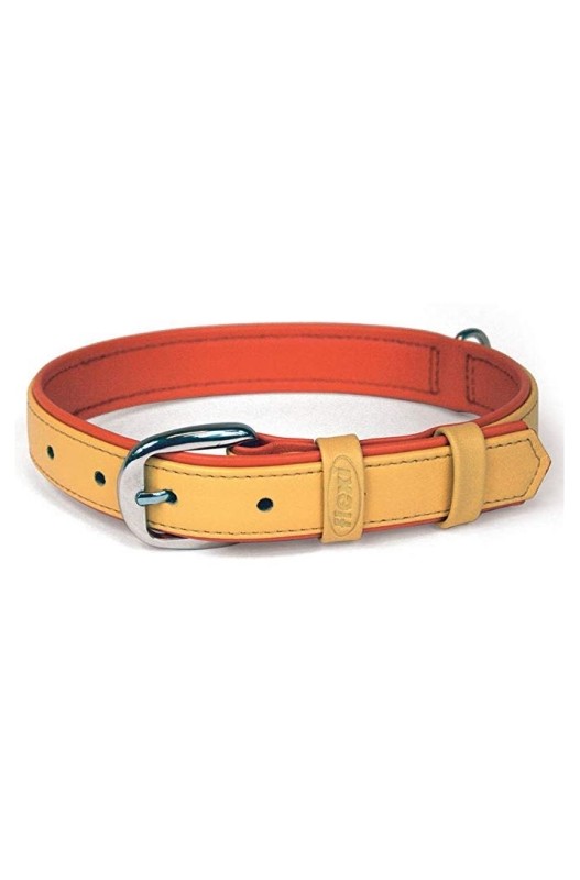 collar Summertime para perros 