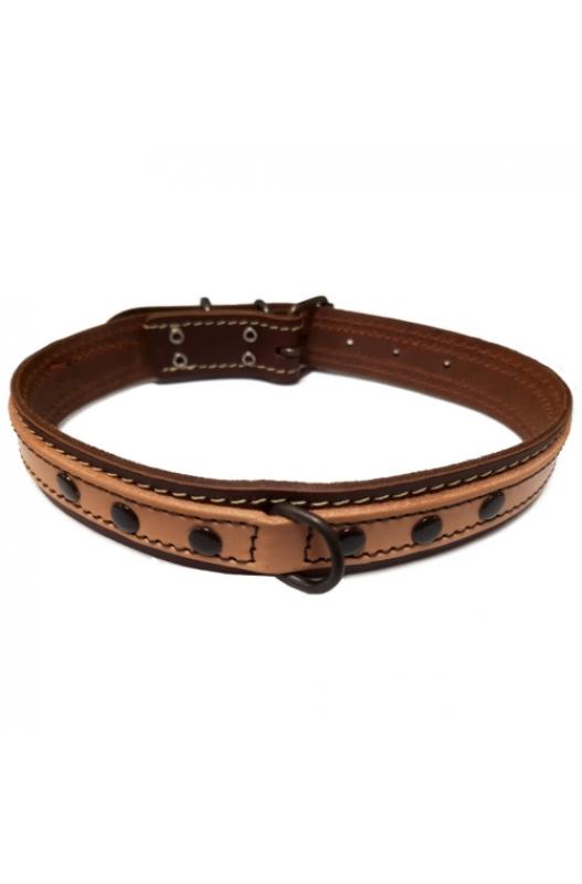 collar de perros