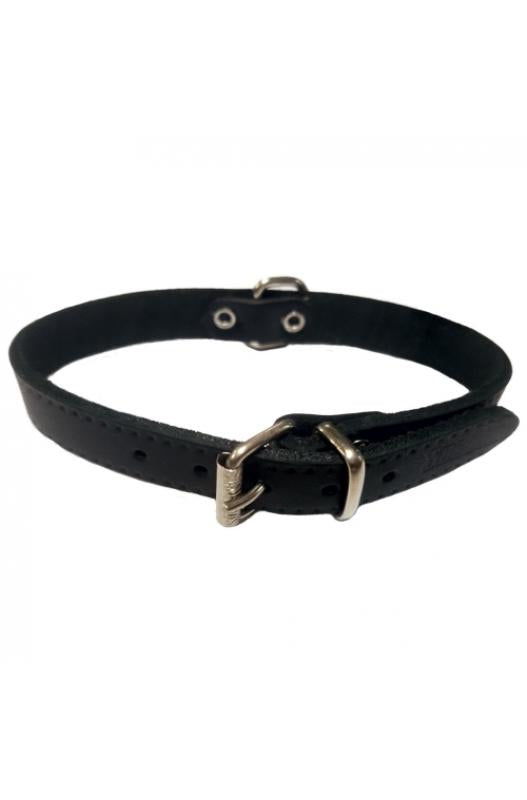 collar para perros