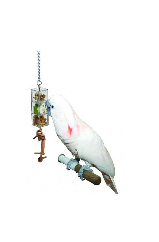 comedero loros papagayos