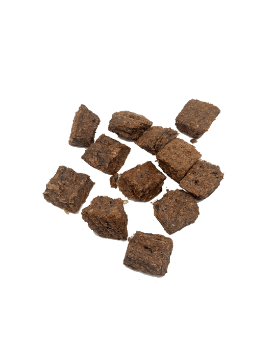 Entrenadores dados de carne de salmón |Snacks naturales para perros -Bolypets