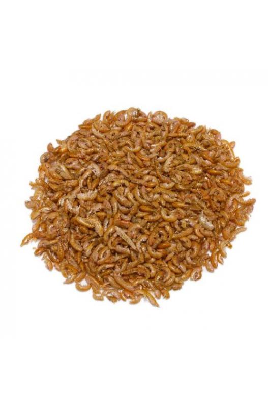 GAMMARUS GRANEL. Precio/Kilo