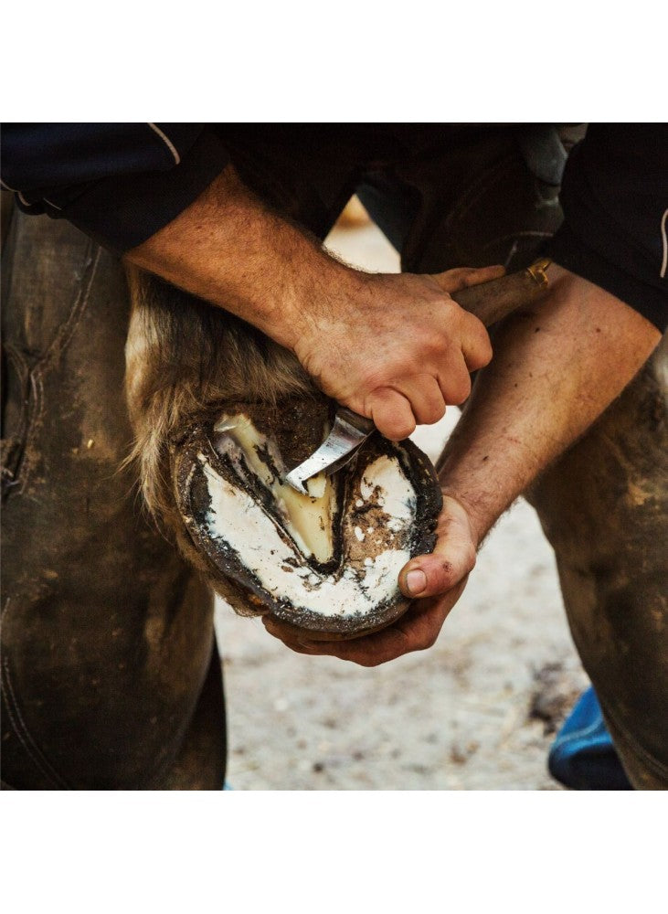 Loción para Cascos 250 ml |Cuidado del casco caballos-Bolypets