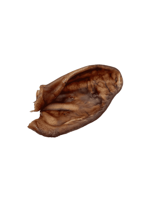 Oreja de cerdo |Snacks naturales para perros -Bolypets