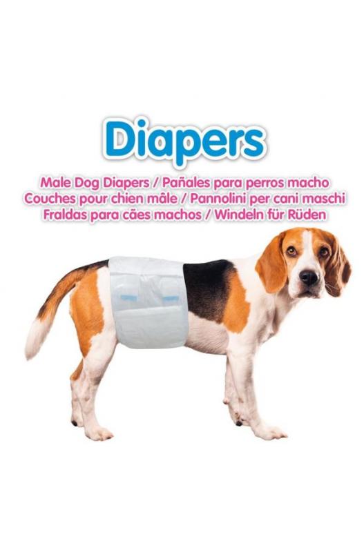 pañales perros machos 