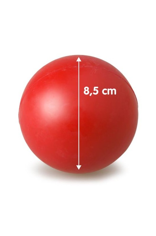 PELOTA MACIZA