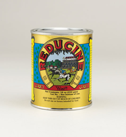 REDUCINE® revulsivo y antinflamatorio para caballos -bolypets