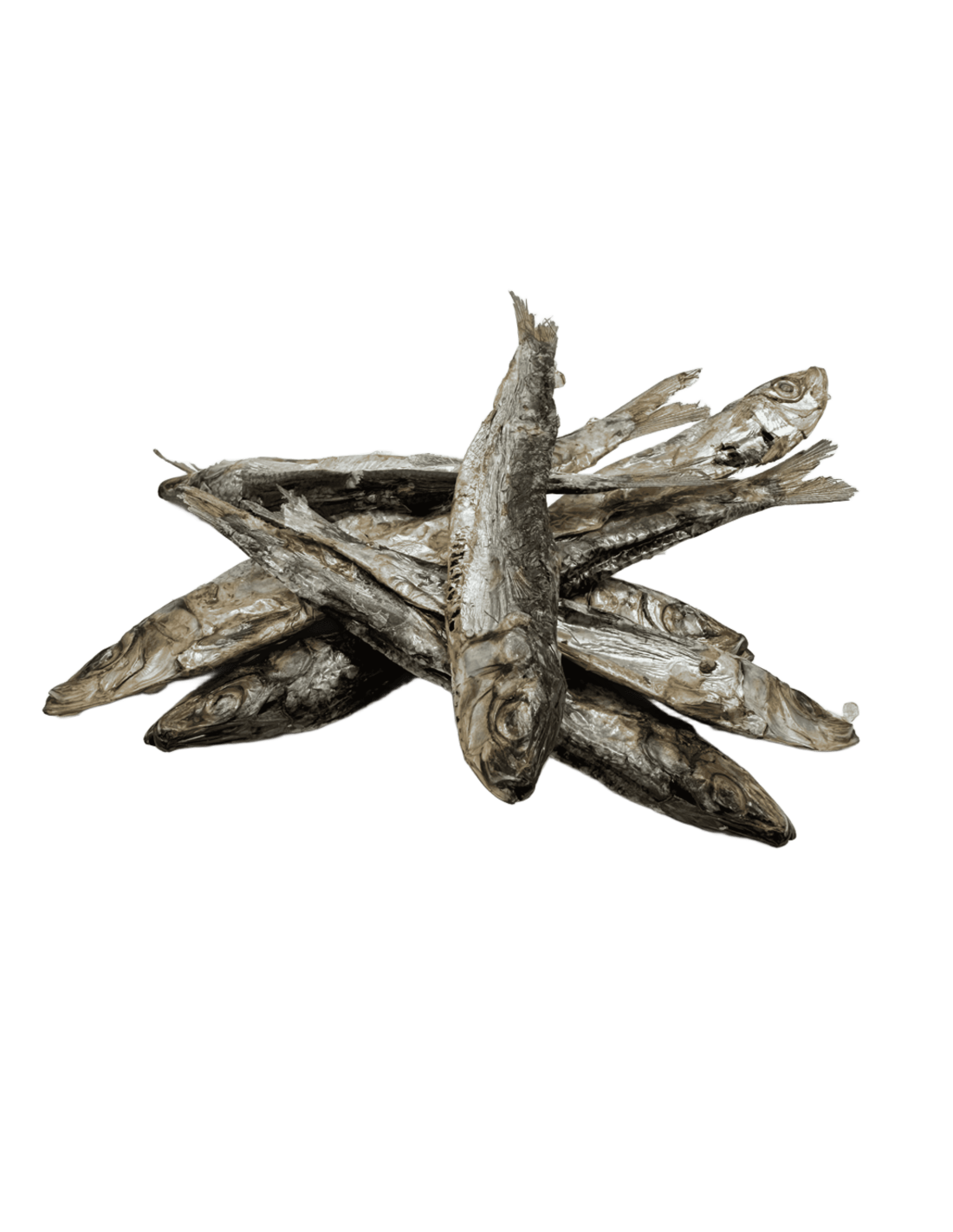 Sardinas del Sur Deshidratadas |Snacks naturales para perros -Bolypets
