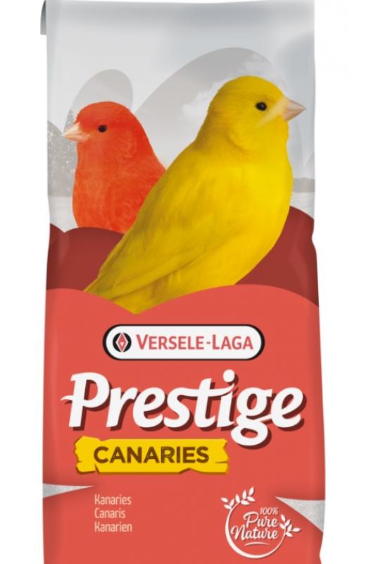 comida para canarios